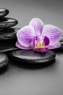 Vnútorná roleta na okno s motívom orchidey na kameni