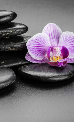 Vnútorná roleta na okno s motívom orchidey na kameni