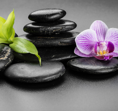 Vnútorná roleta na okno s motívom orchidey na kameni