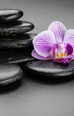 Vnútorná roleta na okno s motívom orchidey na kameni