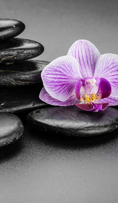 Vnútorná roleta na okno s motívom orchidey na kameni