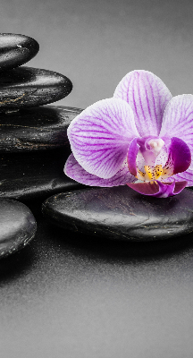 Vnútorná roleta na okno s motívom orchidey na kameni