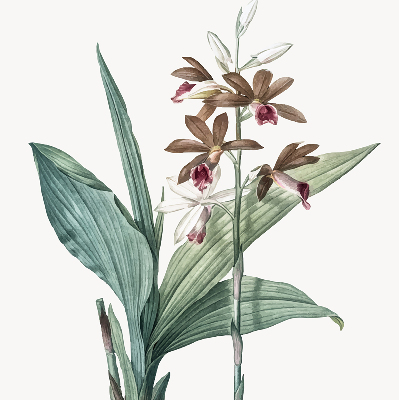 Roleta na okno kvet