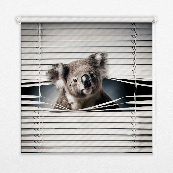 Zatemňovacia roleta koala