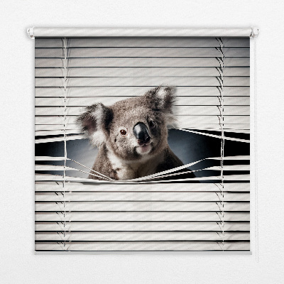 Zatemňovacia roleta koala