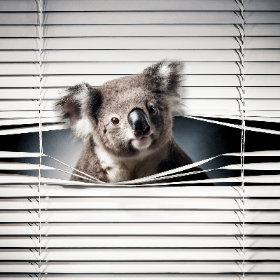 Zatemňovacia roleta koala