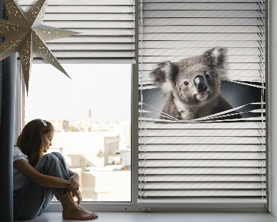Zatemňovacia roleta koala