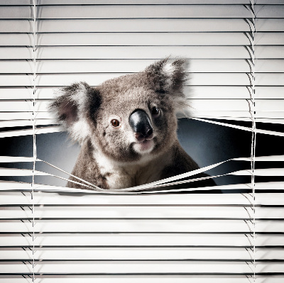 Zatemňovacia roleta koala