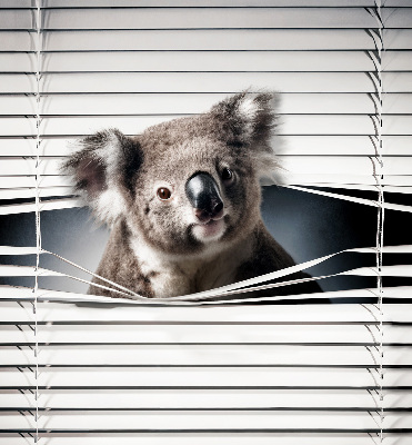Zatemňovacia roleta koala