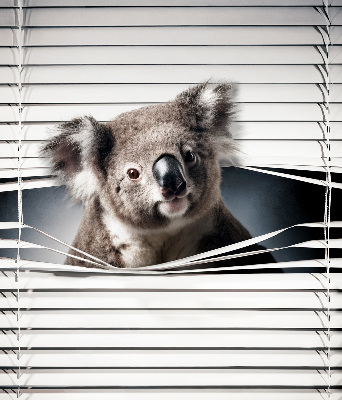 Zatemňovacia roleta koala
