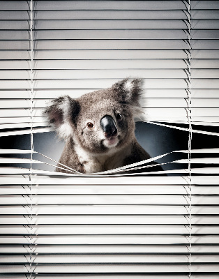 Zatemňovacia roleta koala