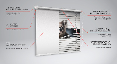 Zatemňovacia roleta koala