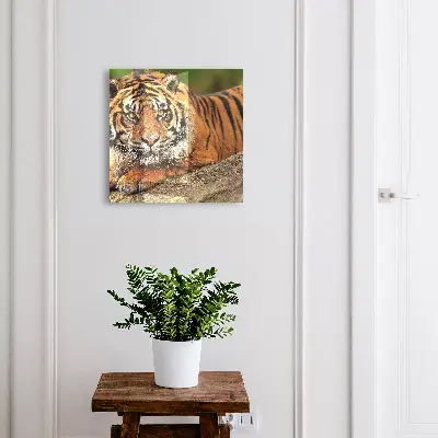 Skrinka na kľúče Tiger odpočíva