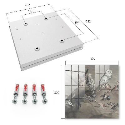 Skrinka na kľúče Vtáky na skale