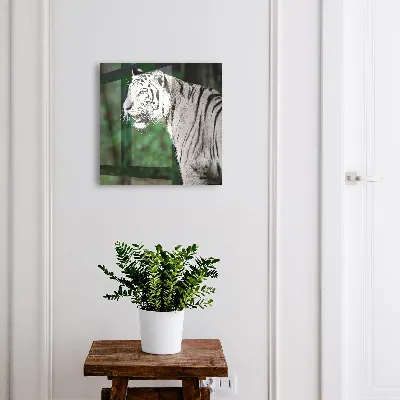 Skrinka na kľúče vintage Biely tiger