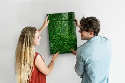 Plot z listov magnetická tabuľa na kreslenie