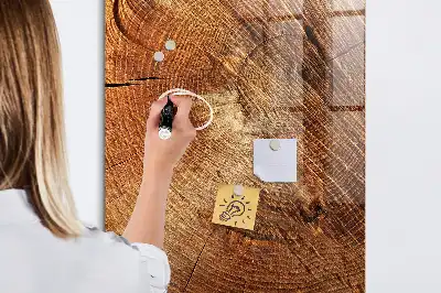 Magnetická tabuľa na kreslenie motív priečneho rezu kmeňom