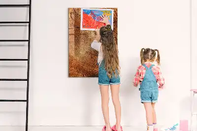 Magnetická tabuľa na kreslenie motív priečneho rezu kmeňom