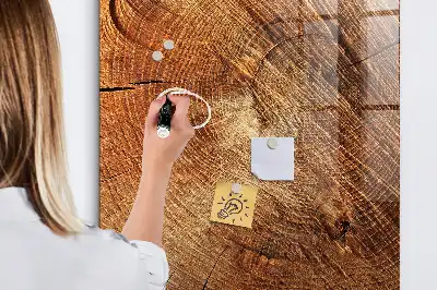 Magnetická tabuľa na kreslenie motív priečneho rezu kmeňom