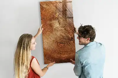 Magnetická tabuľa na kreslenie motív priečneho rezu kmeňom