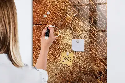 Magnetická tabuľa na kreslenie motív priečneho rezu kmeňom