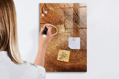 Magnetická tabuľa na kreslenie motív priečneho rezu kmeňom