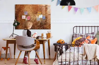 Magnetická popisovacia tabuľa motív starého kmeňa stromu