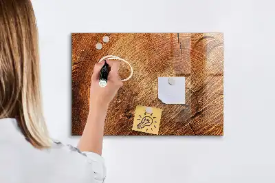 Magnetická popisovacia tabuľa motív starého kmeňa stromu