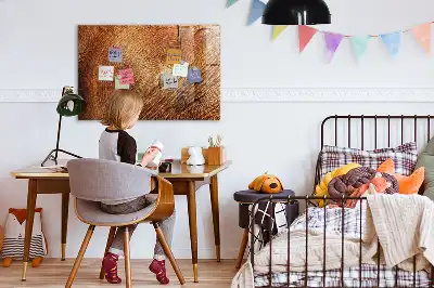 Magnetická popisovacia tabuľa motív starého kmeňa stromu