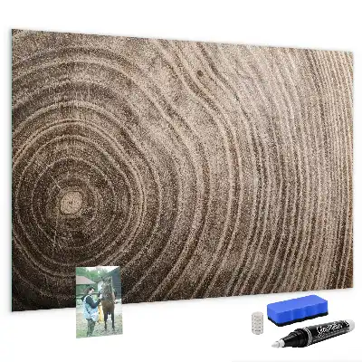 Magnetická popisovacia tabuľa v tvare kmeňa stromu