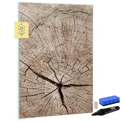 Magnetická kresliaca tabuľa motív priečneho rezu kmeňom