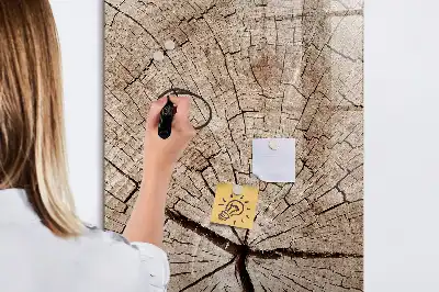 Magnetická kresliaca tabuľa motív priečneho rezu kmeňom