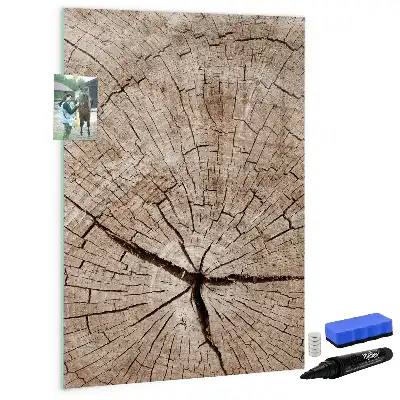 Magnetická kresliaca tabuľa motív priečneho rezu kmeňom