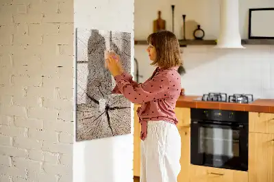 Magnetická kresliaca tabuľa motív priečneho rezu kmeňom