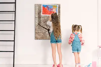Magnetická kresliaca tabuľa motív priečneho rezu kmeňom