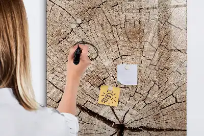 Magnetická kresliaca tabuľa motív priečneho rezu kmeňom