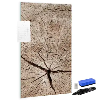 Magnetická kresliaca tabuľa motív priečneho rezu kmeňom