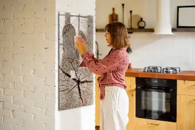 Magnetická kresliaca tabuľa motív priečneho rezu kmeňom
