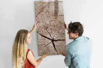 Magnetická kresliaca tabuľa motív priečneho rezu kmeňom