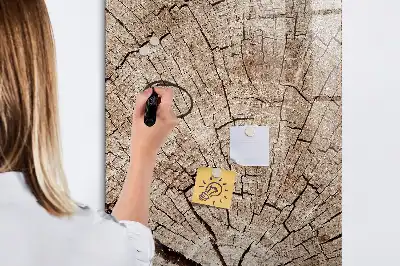 Magnetická kresliaca tabuľa motív priečneho rezu kmeňom