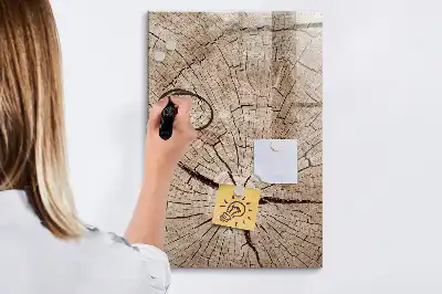 Magnetická kresliaca tabuľa motív priečneho rezu kmeňom