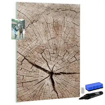 Magnetická kresliaca tabuľa motív priečneho rezu kmeňom