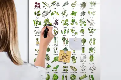 Magnetická tabuľa na kreslenie zelená