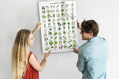 Magnetická tabuľa na kreslenie zelená