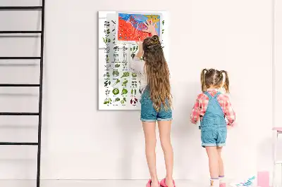 Magnetická tabuľa na kreslenie zelená