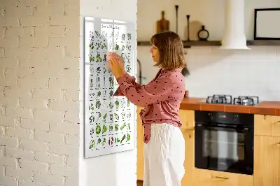Magnetická tabuľa na kreslenie zelená
