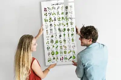 Magnetická tabuľa na kreslenie zelená