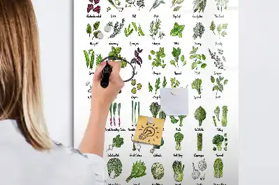 Magnetická tabuľa na kreslenie zelená