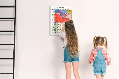 Magnetická tabuľa na kreslenie zelená