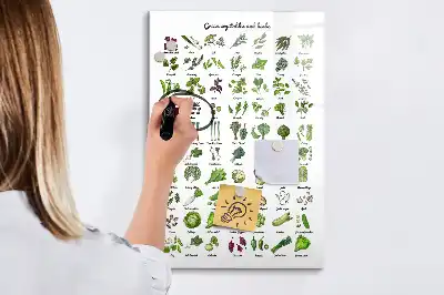 Magnetická tabuľa na kreslenie zelená